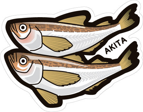 Japan Gotochi (Akita) Postcard - Hatahata Sandfish