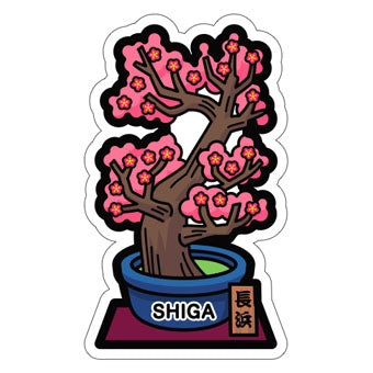 Japan Gotochi (Shiga) Postcard - Bonsai Plant