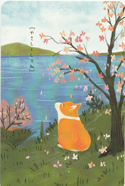 Diary of a Corgi Dog - CD09 - Sakura Flowers