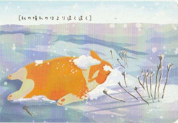 Diary of a Corgi Dog - CD26 - I love the snow!