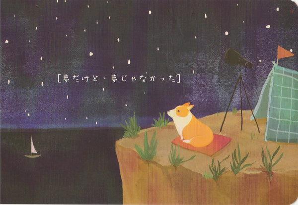 Diary of a Corgi Dog - CD20 - Camping and Stars