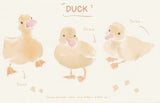 World of Animals Series -  Duck postcard