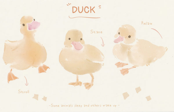 World of Animals Series -  Duck postcard