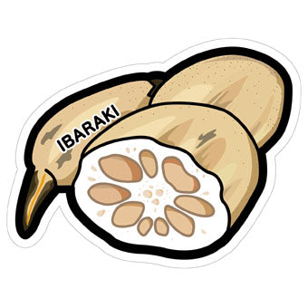 Japan Gotochi (Ibaraki) Postcard - Lotus Root Vegetable