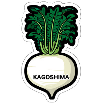Japan Gotochi (Kagoshima) Postcard - Sakurajima radish