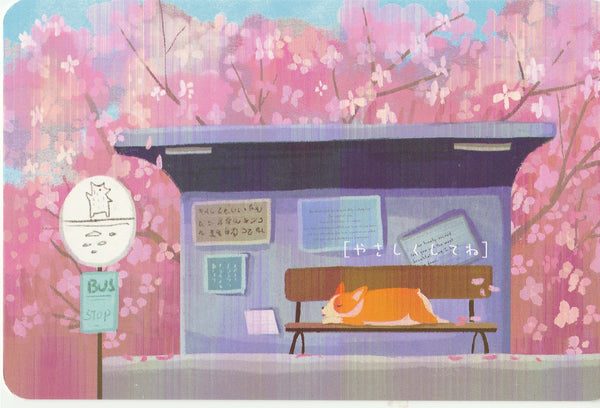 Diary of a Corgi Dog - CD30 - Sakura Season