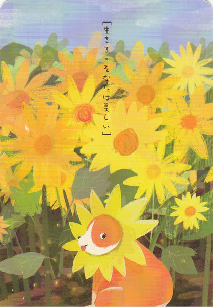 Diary of a Corgi Dog - CD07 - Sunflower Fields