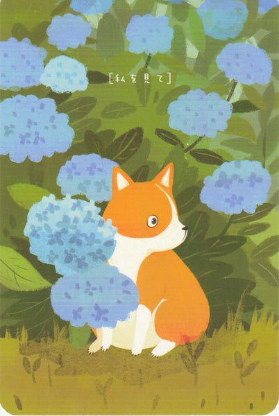 Diary of a Corgi Dog - CD16 - Hydrangea Flowers