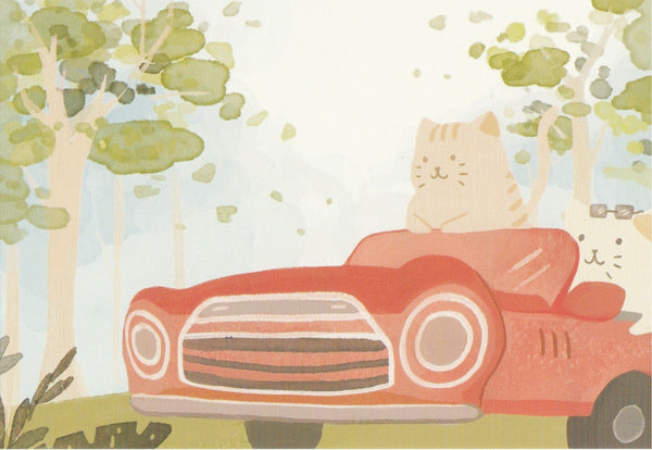 Diary of a Cat - DC26 - Driving with the top down
