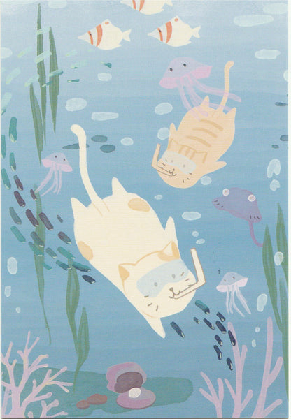 Diary of a Cat - DC18 - Diving in the Ocean
