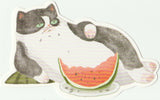Kitty Cats in the Backyard - Cartoon Postcard (BC20)