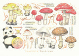 Ever & Ein Postcard - 2021 collection - Mushrooms (Inedible)