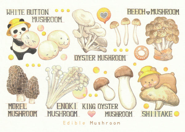Ever & Ein Postcard - 2021 collection - Mushrooms (Edible)