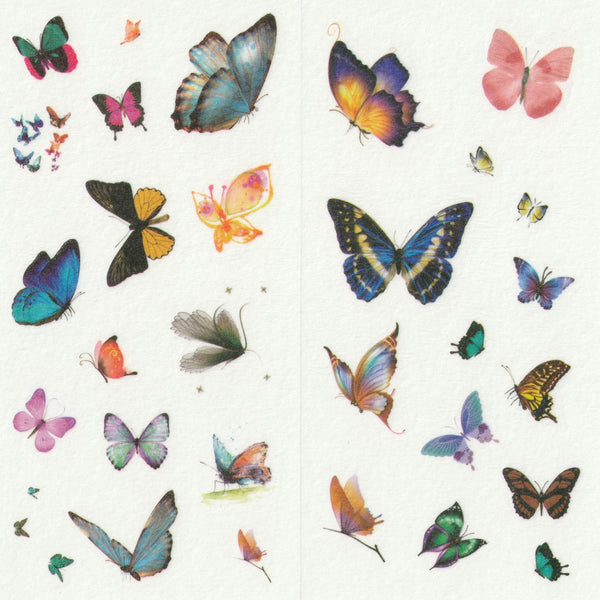 [FREE with US$10 purchase!] K Butterfly Sticker Set B