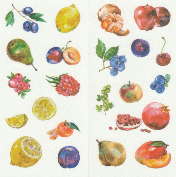 [FREE with US$10 purchase!] Food Series - Fruits Sticker Set C