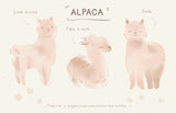 World of Animals Series - Alpaca postcard