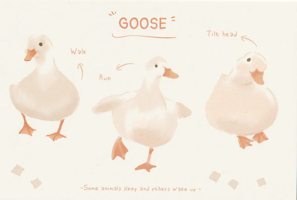 World of Animals Series - Goose postcard