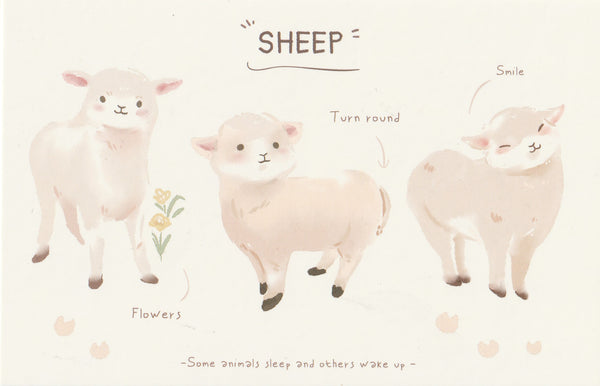 World of Animals Series - Sheep postcard