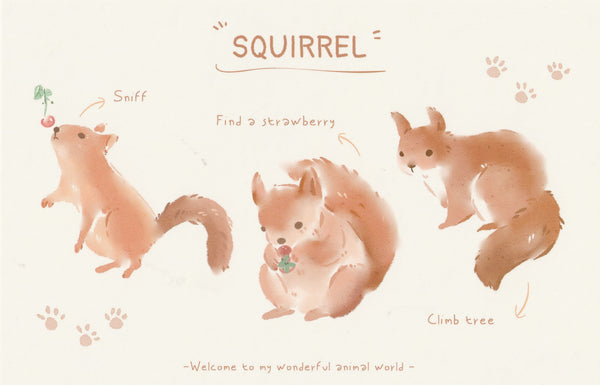 World of Animals Series - Squirrel postcard
