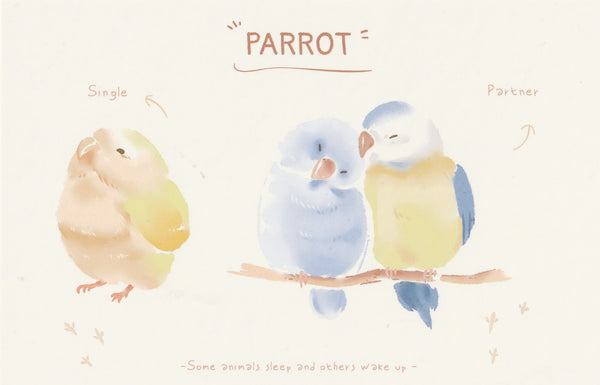 World of Animals Series - Parrot postcard