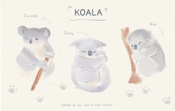 World of Animals Series - Koala postcard