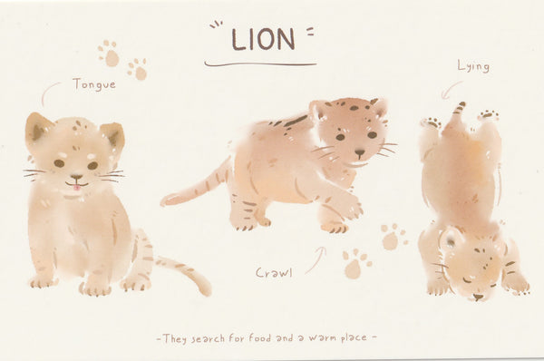 World of Animals Series - Lion postcard
