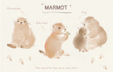 World of Animals Series - Marmot postcard