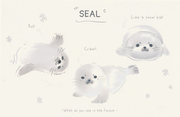 World of Animals Series - Seal postcard