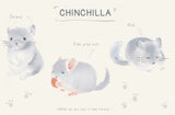 World of Animals Series - Chinchilla postcard