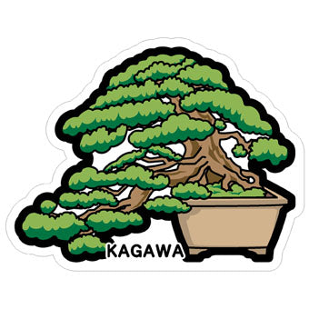 Japan Gotochi (Kagawa) Postcard - Pine Bonsai Japanese Plant
