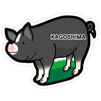 Japan Gotochi (Kagoshima) Postcard - Black Pig
