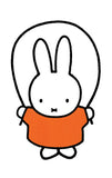 Miffy Nijntje Postcard (M11)