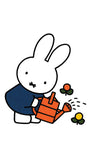 Miffy Nijntje Postcard (M18)