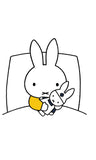 Miffy Nijntje Postcard (M20)