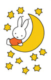 Miffy Nijntje Postcard (M23)