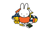 Miffy Nijntje Postcard (M38)