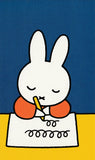 Miffy Nijntje Postcard (M60)