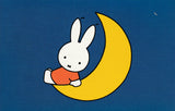 Miffy Nijntje Postcard (M63)