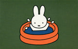 Miffy Nijntje Postcard (M77)