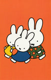 Miffy Nijntje Postcard (M91)