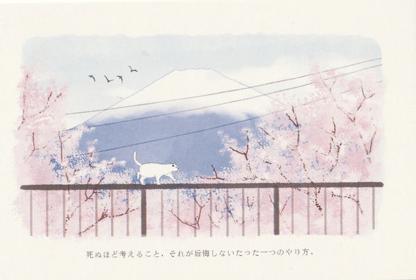 Japan Mt Fuji Sakura Postcard - Bridge (White Cat)
