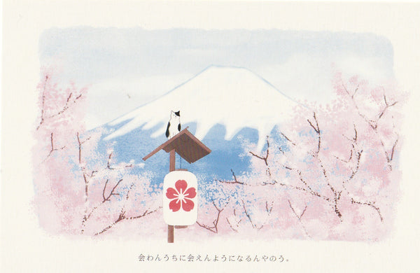Japan Mt Fuji Sakura Postcard - Japanese Lantern