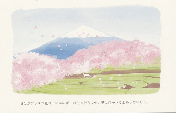 Japan Mt Fuji Sakura Postcard - Rice Paddy Fields