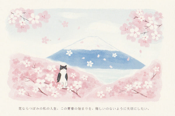 Japan Mt Fuji Sakura Postcard - Ninja Cat