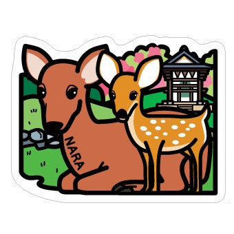 Japan Gotochi (Nara) Postcard - Nara Deer Park