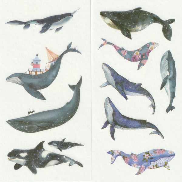 [FREE with US$10 purchase!] Ocean Series - Whales Sticker Set C