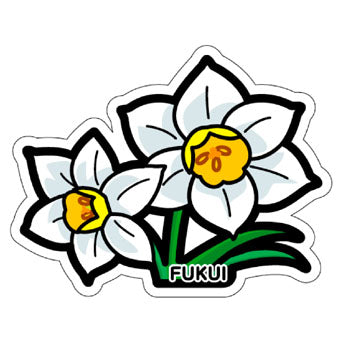Japan Gotochi (Fukui) Postcard - Narcissus Flowers